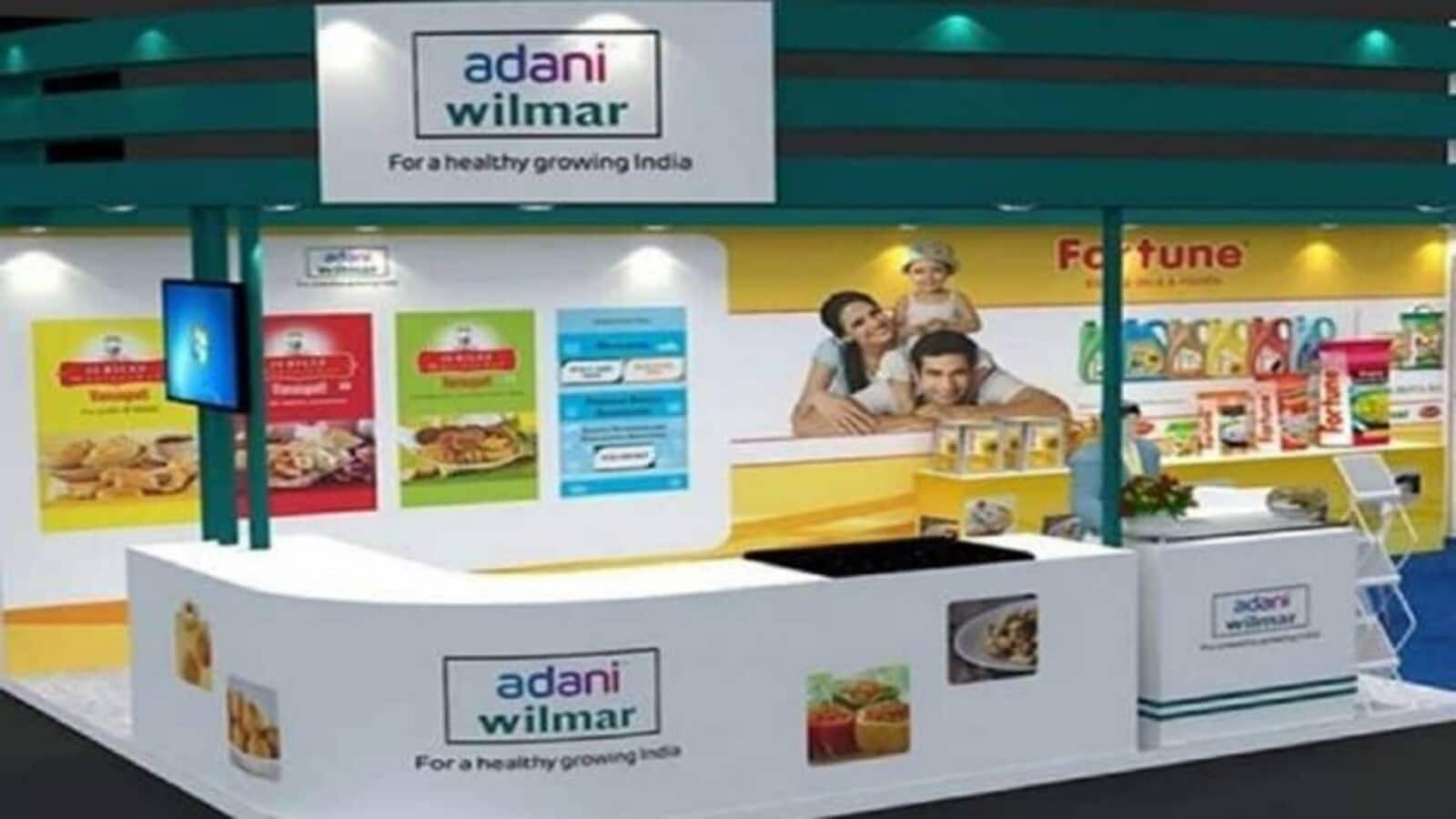 Adani raises Rs 4,850 crore from sale of 13.5% stake in Adani Wilmar