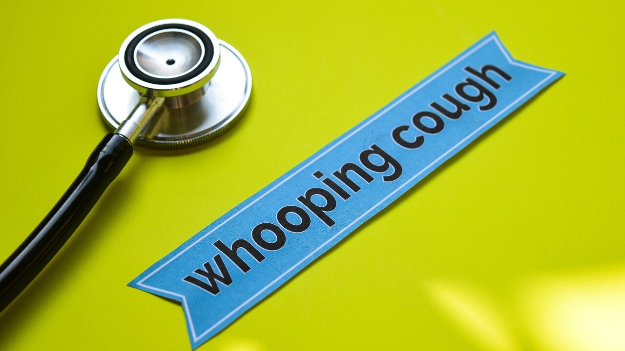Whooping Cough Symptoms And Treatment Whooping Cough Symptoms And