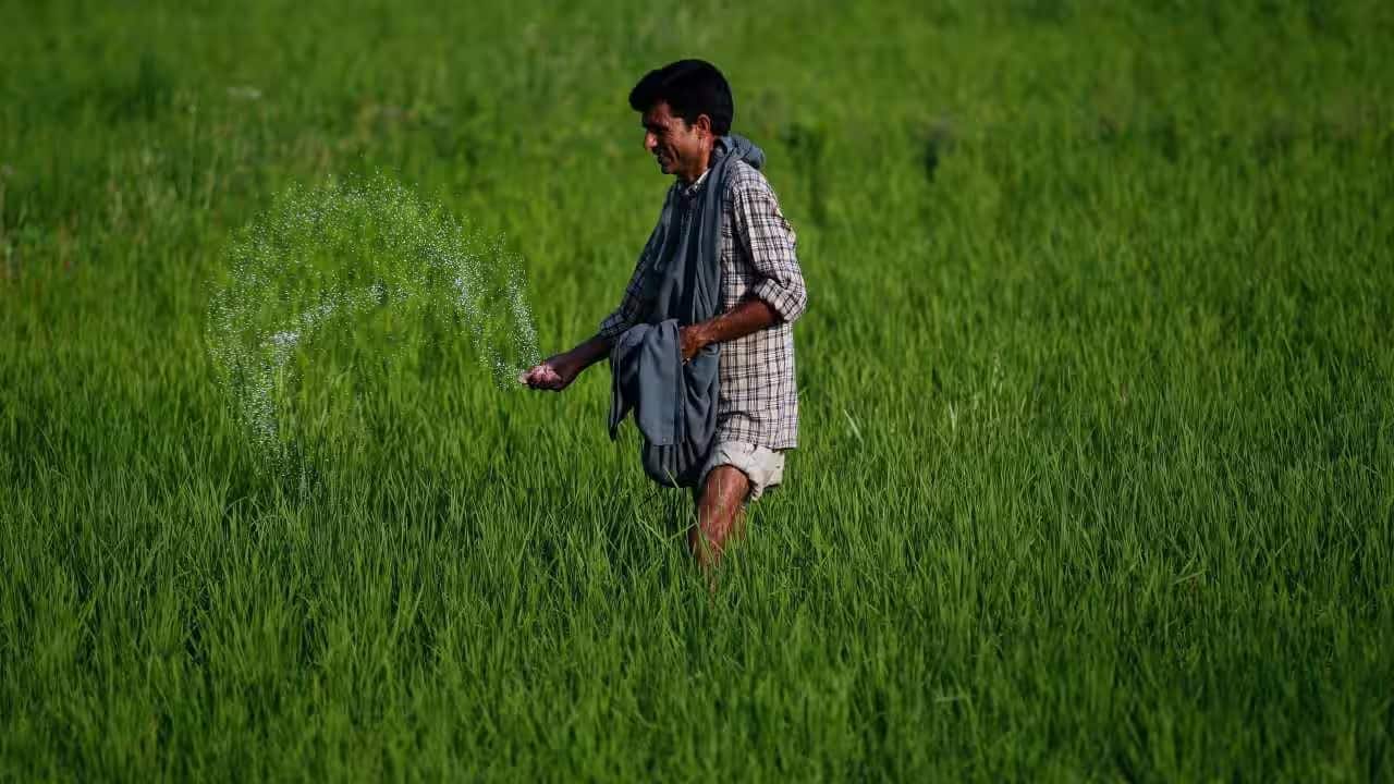 India began diversifying away from China before 2025 halt in fertiliser shipments