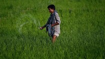 Fertiliser stocks see profit booking after Union budget raises allocation for rural development