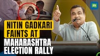 Lok Sabha Polls 2024: What caused Union Minister Nitin Gadkari to faint at the election rally?