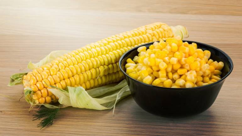 Corn: High in fibre, corn helps reduce appetite and promote fullness, while its probiotic properties support metabolism and digestion. Additionally, it is packed with potassium, magnesium, and Vitamin A, and can be steamed and enjoyed in salads for a flavourful and nutritious meal (Image: Canva)