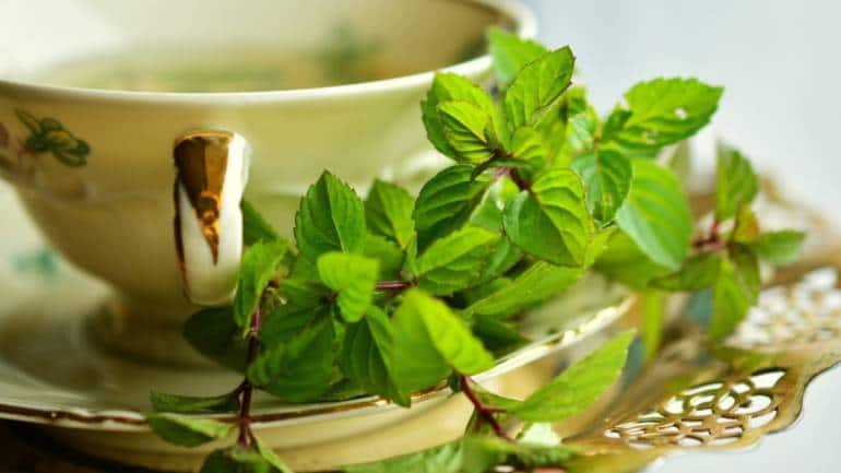पुदीना चाय: पुदीना पौधे की पत्तियों से बनी इस चाय में पाचन संबंधी परेशानी को शांत करने की क्षमता होती है। इसकी मेन्थॉल सामग्री गैस्ट्रोइंटेस्टाइनल ट्रैक्ट की मांसपेशियों को आराम देने, ऐंठन को कम करने और सूजन को कम करने में मदद करती है। भोजन के बाद गर्म कप पुदीना चाय पीने से पाचन को बढ़ावा मिल सकता है और अपच के लक्षण कम हो सकते हैं (छवि: कैनवा)