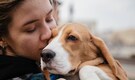 Ready to adopt a pet? 7 important things every pet parent should know 