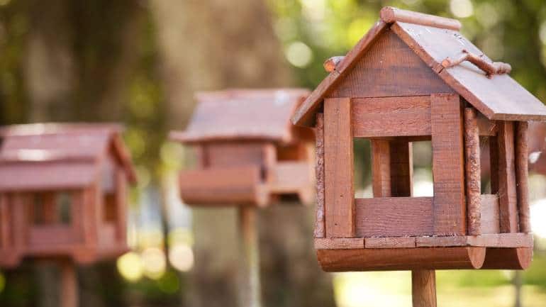 Maintain a clean environment: A tidy garden isn't just aesthetically pleasing; it's essential for bird safety. Regularly clean bird feeders and baths to prevent the spread of disease, and remove any litter or debris that could pose a hazard to nesting birds (Image: Canva)