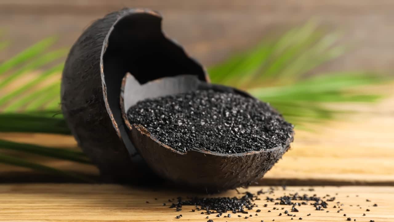 Bharat Coking Coal IPO: Dominant coking coal franchise with strong cash flow visibility Bharat Coking Coal IPO: Dominant coking coal franchise with strong cash flow visibility