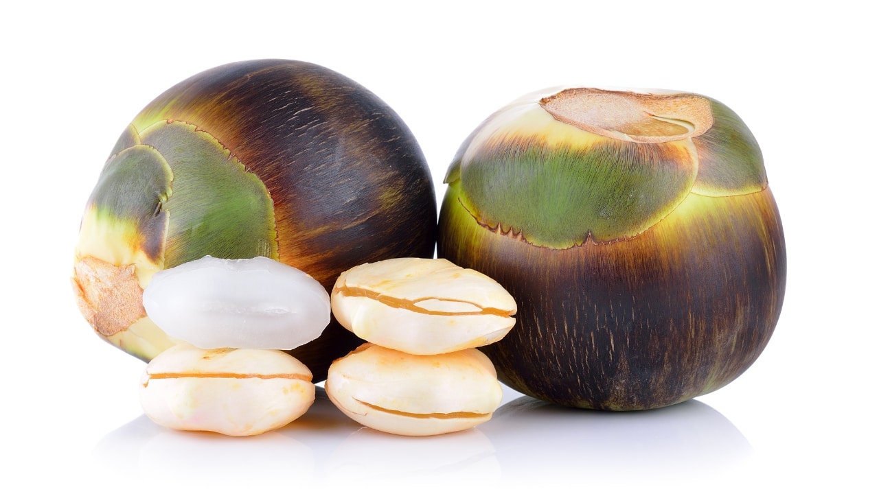 Ice apple: Rich in fibre, ice apples support digestion and act as natural diuretics, aiding in flushing out excess water from the body. With 87% water content, they are a guilt-free indulgence for those managing their sweet cravings during weight loss endeavours (Image: Canva) 