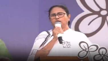 Is Bengali sub-nationalism Mamata Banerjee's new political weapon?