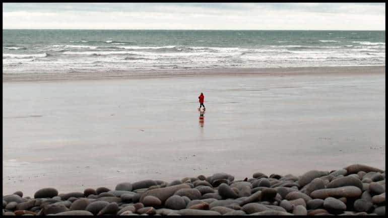 Bloodsucking sea creature resembling 'Dune' sandworms washes ashore in UK - Vimarsana News