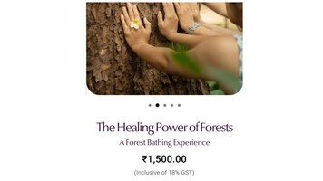 Bengaluru company offers 'forest bathing' experience for Rs 1,500 - at Cubbon Park. Viral post