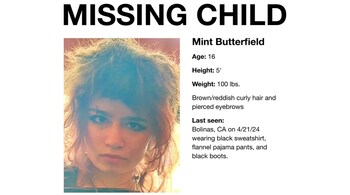 Mint Butterfield is the daughter of Slack co-founder Stewart Butterfield and Flickr creator Caterina Fake. (Image: @Jason/X)