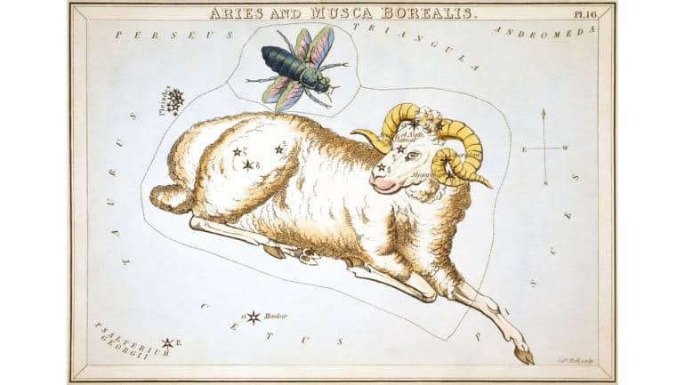 Horoscope today Aries, May 3: Key financial decisions may not yield success, stay away from lottery and betting - Vimarsana News