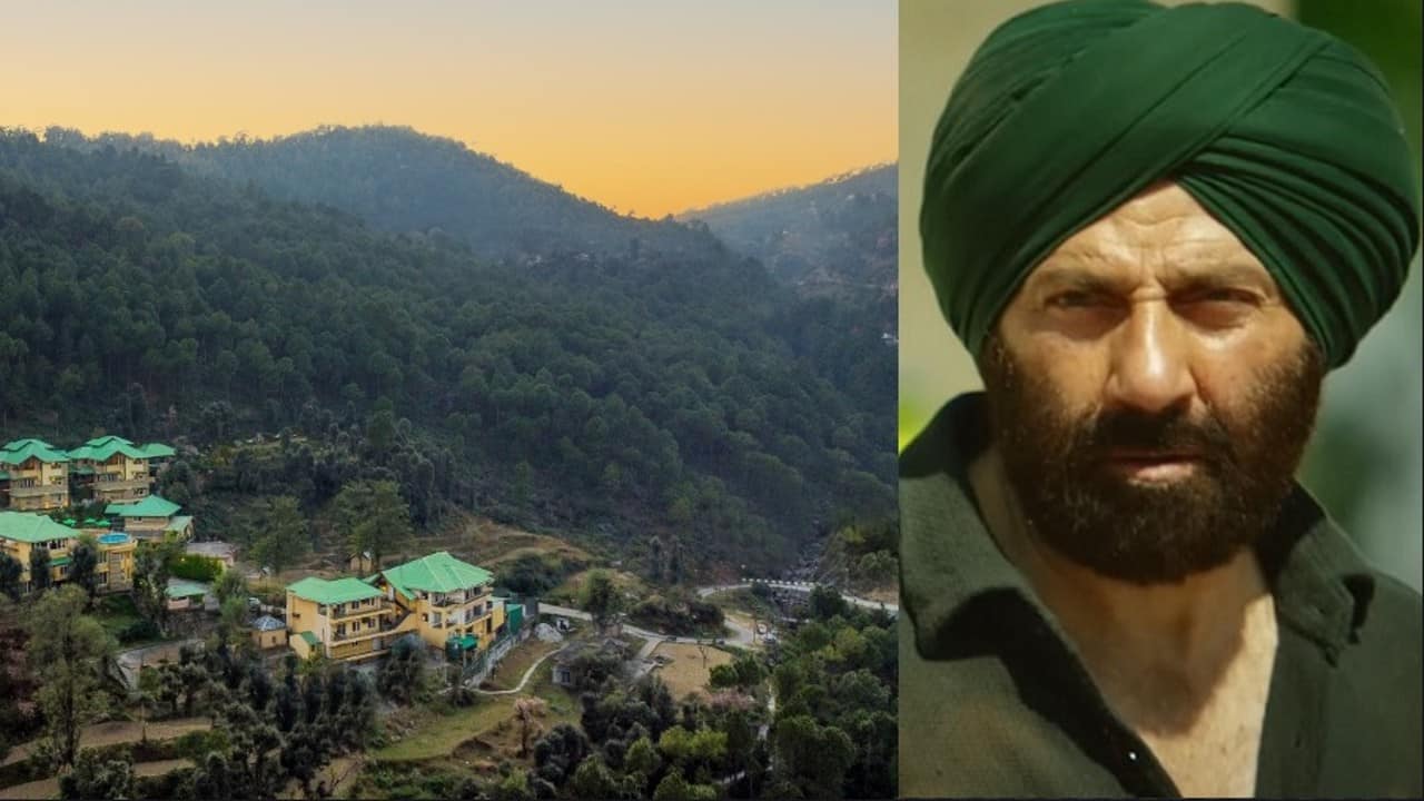 A guide to Palampur, Himachal Pradesh, where Gadar 2 was extensively filmed