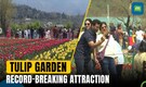 Asia's largest Tulip garden in Srinagar | Witness record breaking tourist attraction