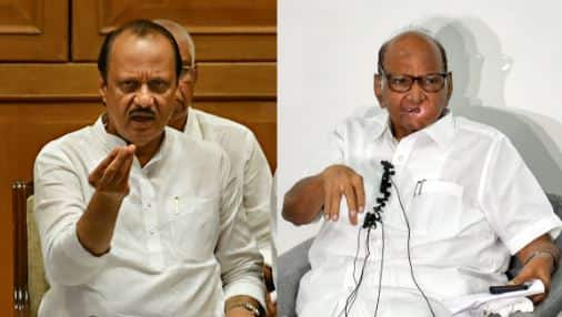 It's cha-cha time for uncle Sharad Pawar as reverse migration stings ...