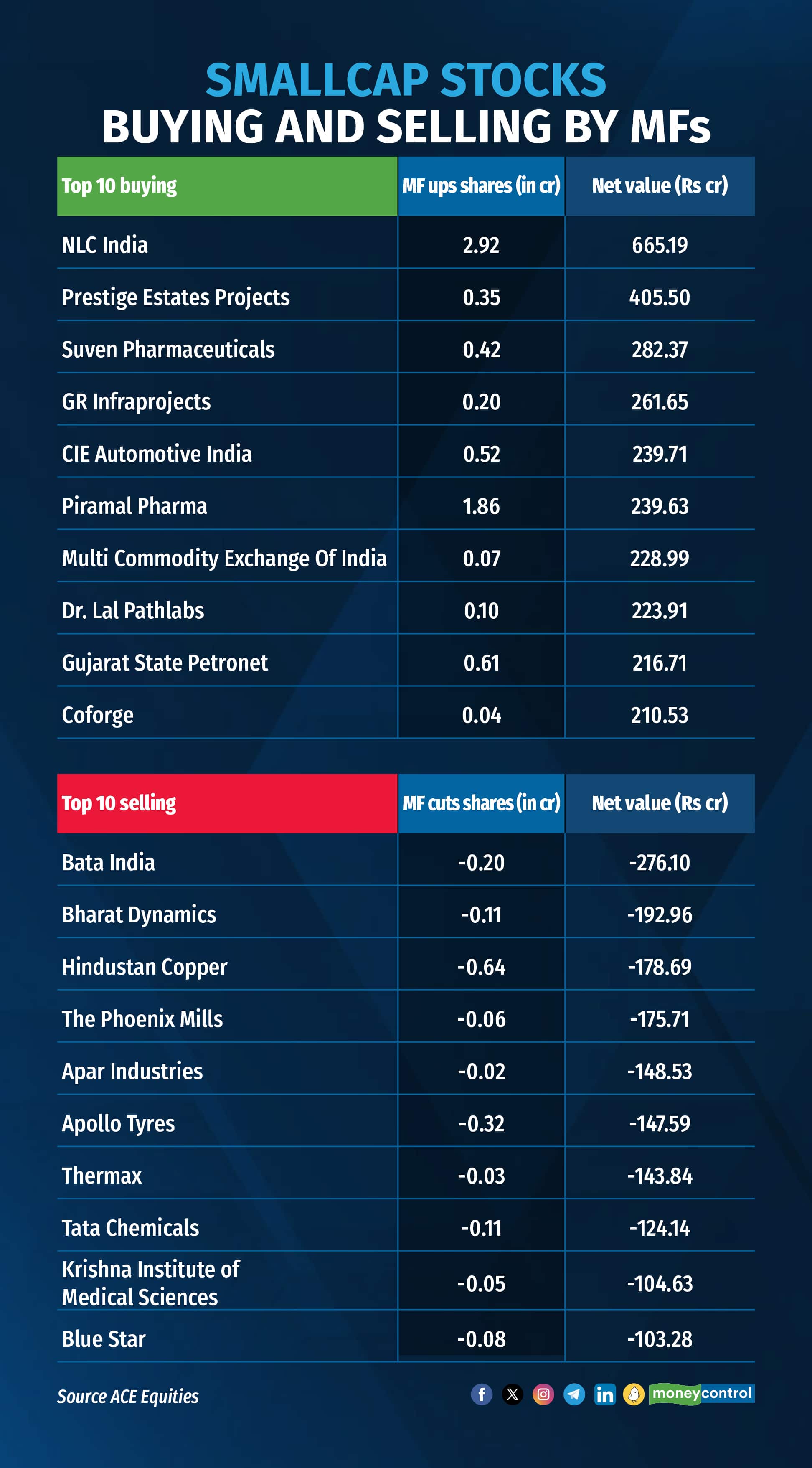 midcap small cap