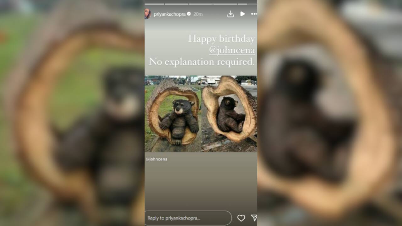 Priyanka Chopra's hilarious birthday wish for John Cena will leave you in stitches!