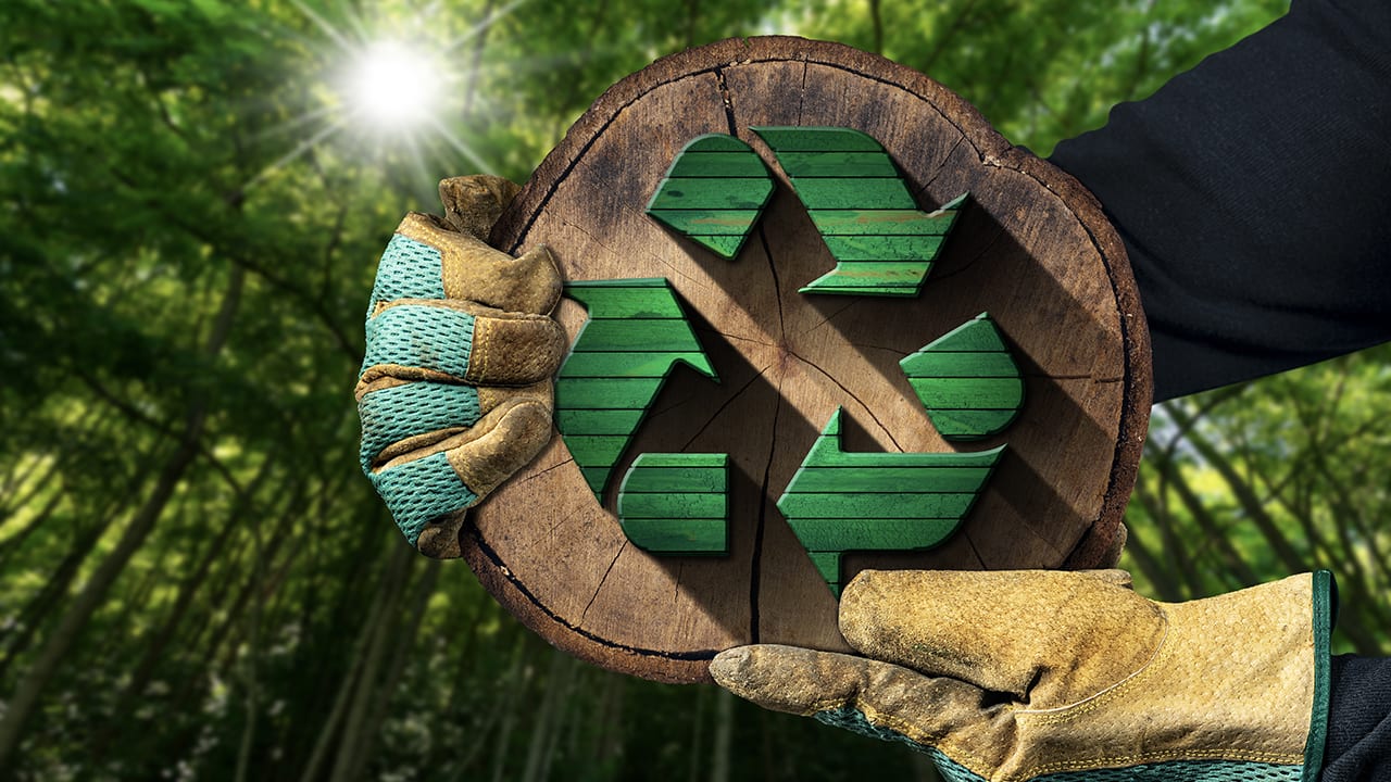 How India can create a circular economy for renewa...
