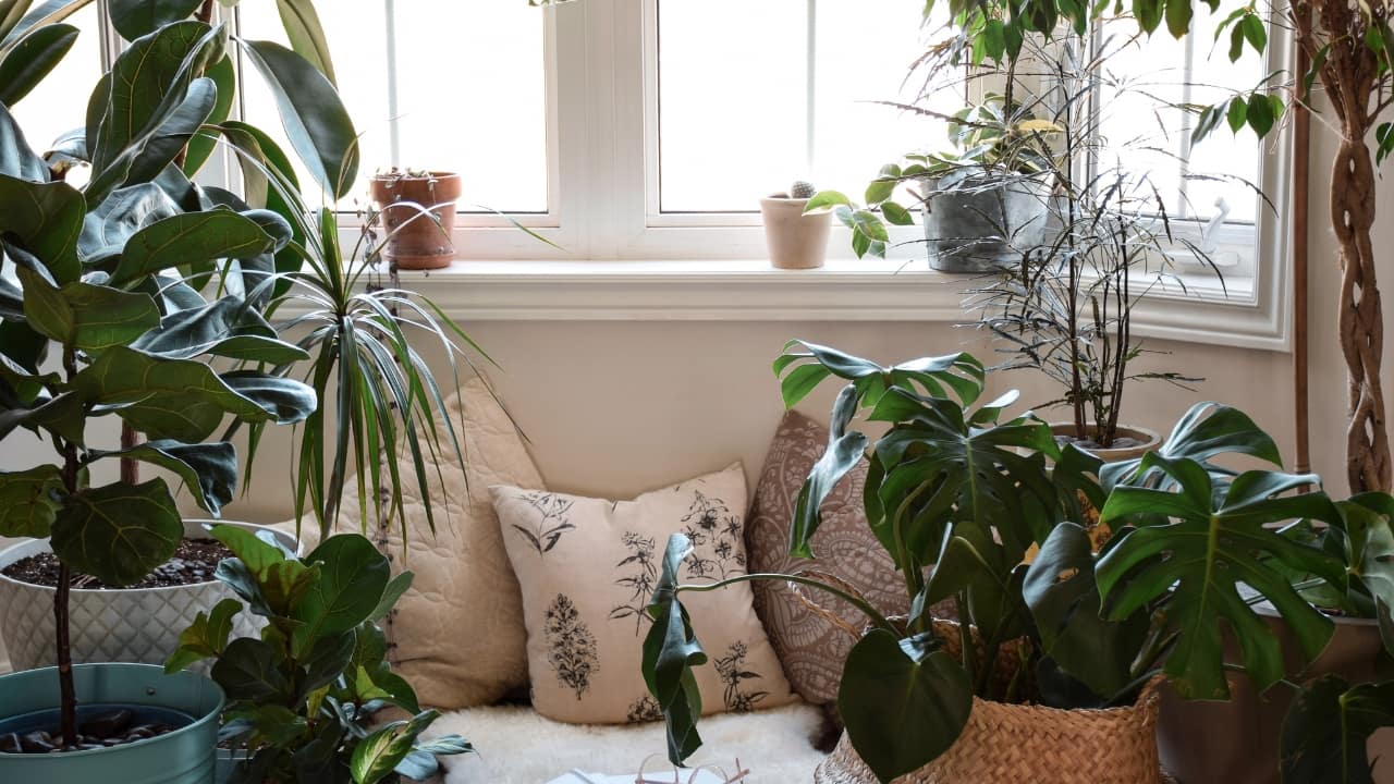 8 handy tips that can help you achieve a clean and clutter free home