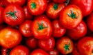Beauty benefits of tomatoes: Try this nutrient-dense superfood to fight acne, give new life to dull skin