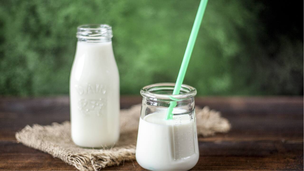 Cold milk: Drink cold milk mixed with water (1:3) and sip slowly to combat acidity. The cold milk neutralises stomach acid due to its calcium content. Mixing it with water makes it easier to consume, providing relief from heartburn when sipped slowly (Image: Canva)