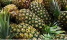 Health benefits of pineapple: 7 reasons to add this tropical fruit in your daily diet