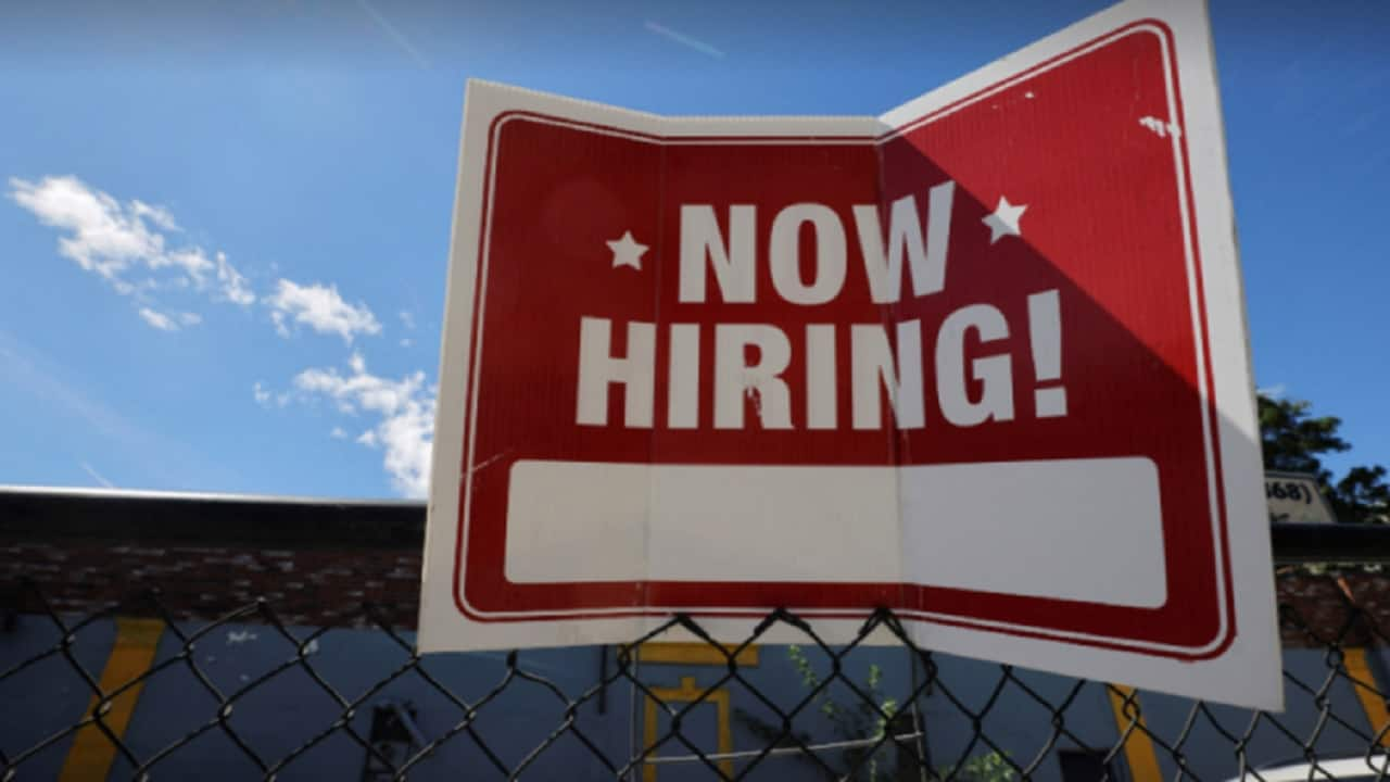 US job openings rise unexpectedly to 8.1 million in November, sign labour market is resilient