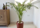 7 Vastu tips to enhance your home's energy during monsoon season