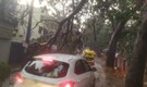 Bengaluru rains: Fallen trees, hailstorm, and waterlogging