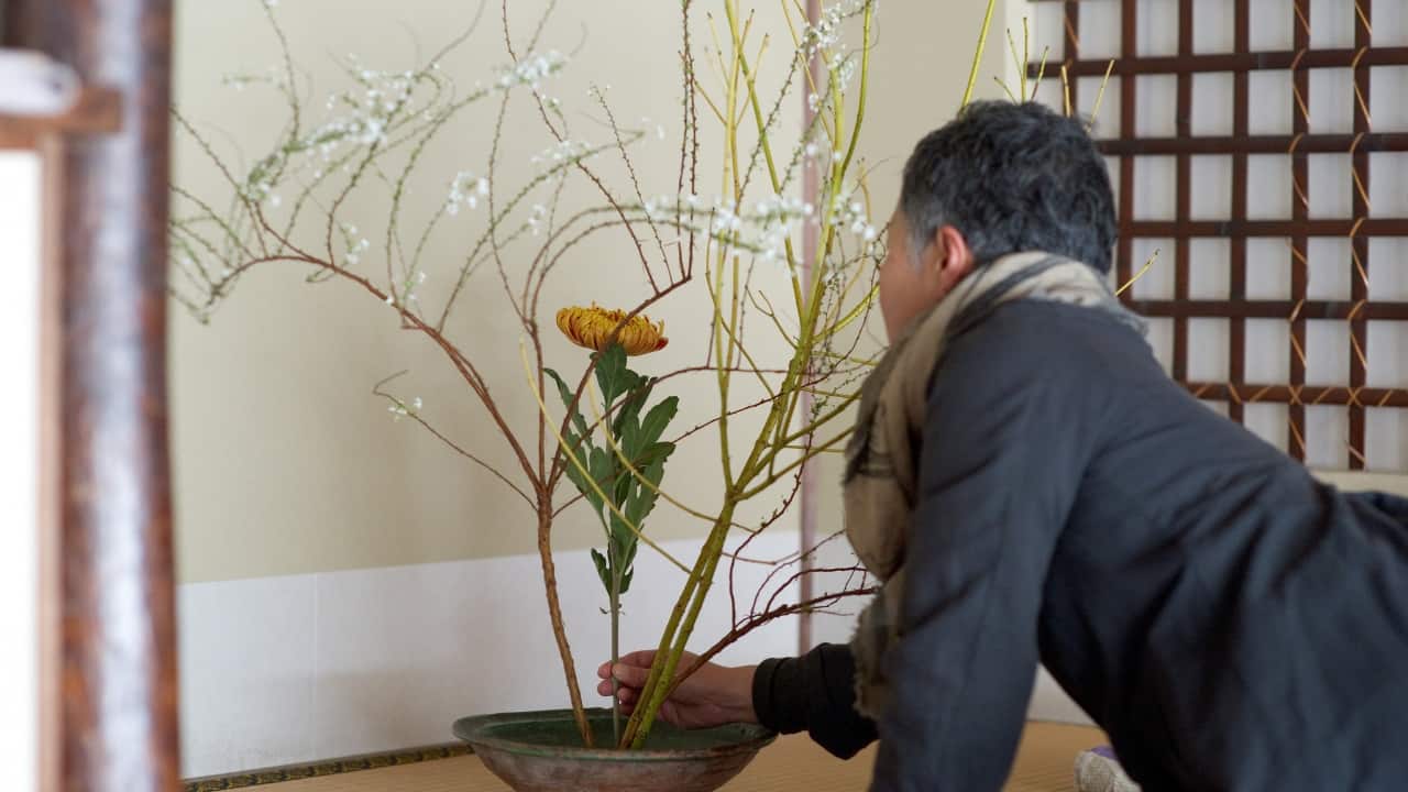 Ikebana (Flower Arranging): Ikebana, the Japanese art of flower arranging, is more than just a decorative practice—it is a form of meditation that encourages mindfulness and creativity. By arranging flowers in a harmonious and balanced manner, practitioners aim to capture the beauty of nature and evoke a sense of tranquillity. Engaging in Ikebana allows you to immerse yourself in the present moment, focusing your attention on the delicate beauty of the flowers and the act of arranging them. The meditative process of Ikebana can help alleviate stress and promote a sense of serenity and well-being (Image: Canva)
