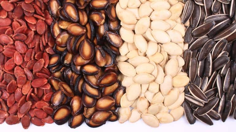 Health benefits of chia, sunflower, sesame, pumpkin and flax seeds: Tiny powerhouses that boost energy naturally