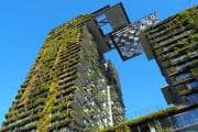 Green is the new gold: Eco-certified Grade-A offices lead leasing surge