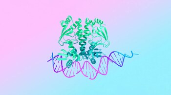 Google DeepMind's AlphaFold