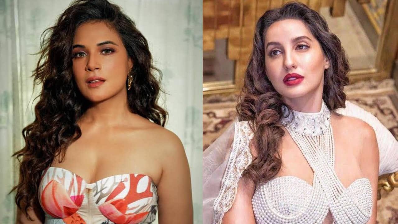 'Heeramandi' actress Richa Chadha disagrees with Nora Fatehi's statement on feminism, says, 'it’s a misguided reaction'