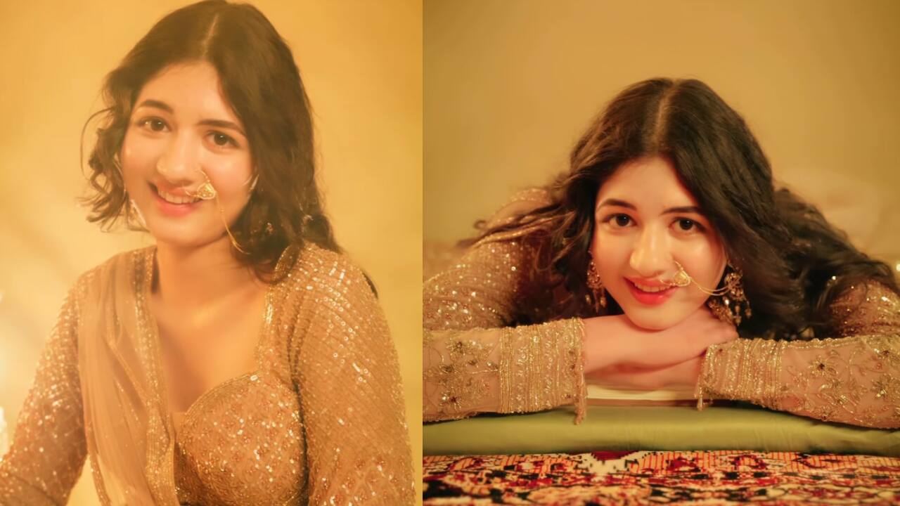 Bajrangi Bhaijaan's Harshali Malhotra aka Munni shares her version of 'Ek Baar Dekh Lijiye' from 'Heeramandi', netizens say, "Bhansali could have cast her as Alamzeb"