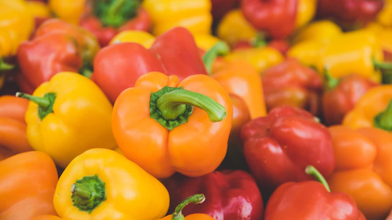 3. Bell Peppers: Bell peppers are packed with essential nutrients, including vitamins B6, B9, C, and K, along with antioxidants. Their low potassium content makes them an excellent choice for kidney-friendly diets. (Image: Canva)