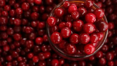 4. Cranberries: Renowned for their ability to prevent urinary tract infections, cranberries are vital for kidney health. Their antioxidant properties help combat inflammation, thereby supporting heart and digestive functions. (Image: Canva)