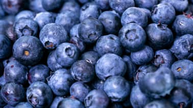 5. Blueberries: Blueberries are rich in antioxidants, vitamin C, and fiber, making them ideal for addressing kidney-related issues. They possess anti-inflammatory properties and promote bone health, crucial for managing CKD. (Image: Canva)