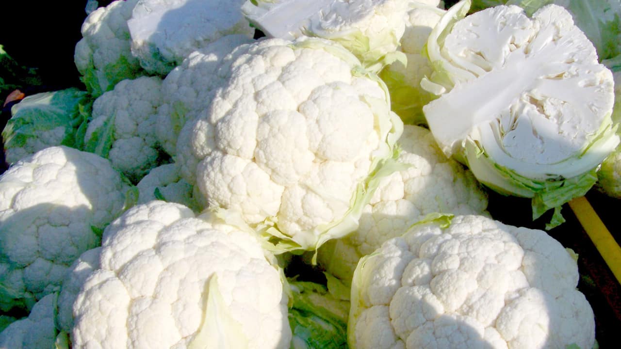 Farmers in UP's Amroha run tractors over cauliflower crops as prices crash to Rs 1/kg Farmers in UP's Amroha run tractors over cauliflower crops as prices crash to Rs 1/kg