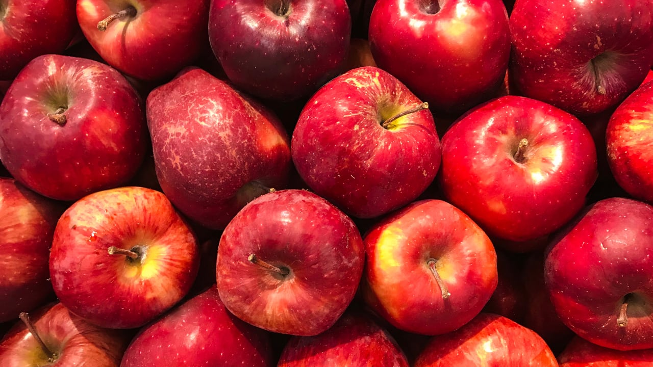 13. Apples: Apples are rich in quercetin, fiber, and antioxidants, benefiting cholesterol and blood sugar levels. They serve as a convenient, kidney-friendly snack option. (Image: Canva)
