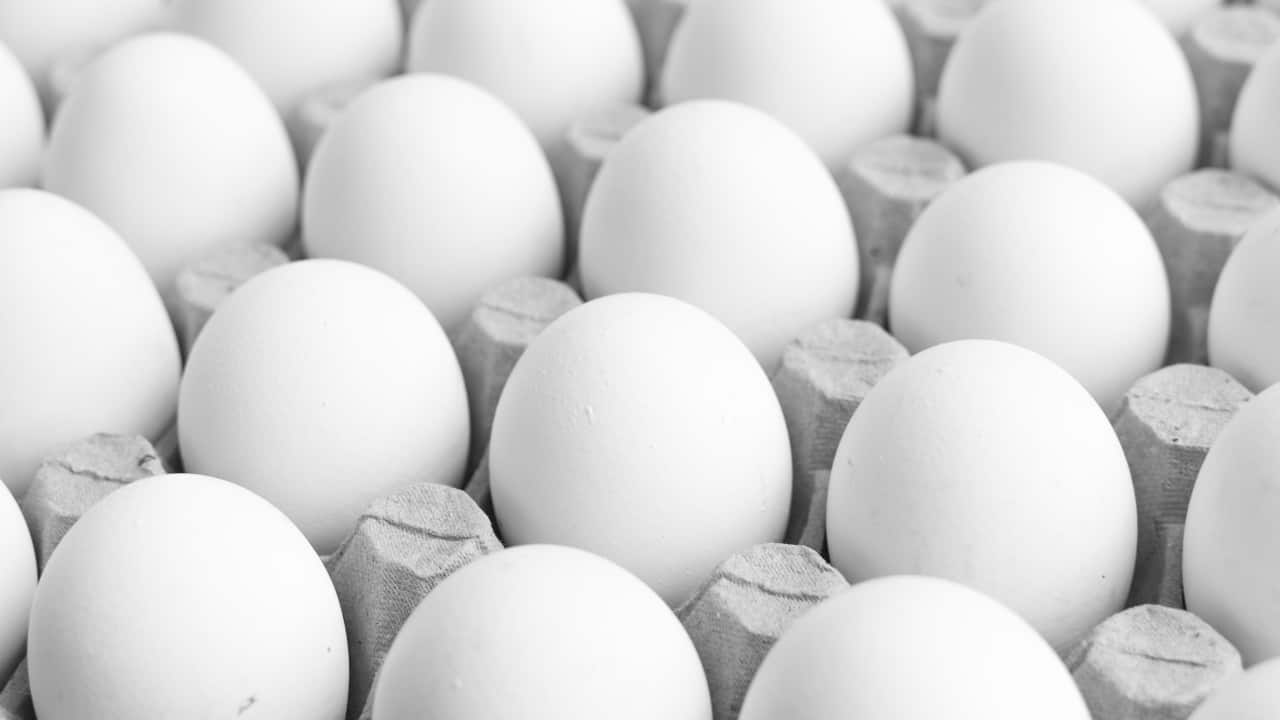 Whole Raw Eggs: While the idea of microwaving whole raw eggs might seem convenient, remember that it's dangerous. Raw eggs have been known to explode when exposed to microwave heat, posing not only a messy cleanup but also safety hazards. The explosion can release extremely hot contents, risking burns or even causing injury if consumed hastily, says Sharma. (Image: Canva)