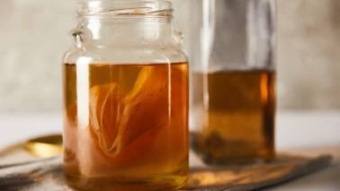 1. Kombucha Kombucha, a fermented tea beverage, is loaded with probiotics. A study published in the journal Clinical Nutrition found that consuming probiotics reduced gut transit time, increased stool frequency, and decreased bloating. The findings were most significant when multiple probiotic strains were consumed, says dietician and wellness coach Priyal Mathur. Fortunately, kombucha offers a variety of probiotic strains and in high quantities. (Image: Canva)