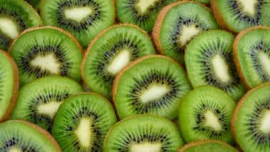 4. Low-Sugar Fruits Reducing sugar intake is essential for maintaining a healthy gut. Fruits with lower sugar levels, such as berries and kiwi, are less likely to cause bloating or gas and help maintain balanced gut flora (Image: Canva)