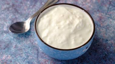 1. Yogurt Yogurt is a rich source of probiotics, beneficial bacteria that support digestion, says Sharma. Regular consumption of yogurt can improve gut health and boost the immune system. (Image: Canva)