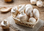 Fatigue, depression, weak bones? Here are 5 best ways to increase Vitamin D in your body