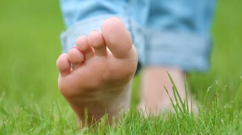 Health benefits of walking barefoot on grass: Studies have shown that walking barefoot on grass can lead to better sleep patterns by reducing the levels of cortisol, a stress hormone that disrupts sleep (Image: Canva)