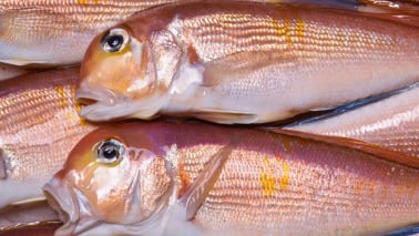 Fish High in Mercury Sources: Predatory fish like shark, swordfish, tuna, orange roughy, king mackerel, and tilefish. Effects: Mercury is a neurotoxin that can cause neurological damage, especially in developing fetuses and young children. High levels of mercury can impair cognitive function and lead to developmental delays. Alternatives: Opt for low-mercury fish such as salmon, sardines, and mackerel. It's also important to check local advisories for mercury levels in fish to ensure safe consumption. Making these dietary adjustments can support brain health, enhance memory, and reduce the risk of cognitive decline over time. (Image: Canva)
