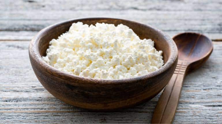 Cottage cheese: Cottage cheese is a protein powerhouse, containing approximately 25 grams of protein per cup. It is also low in fat and carbohydrates, making it an excellent option for those looking to increase their protein intake without adding excess calories (Image: Canva)