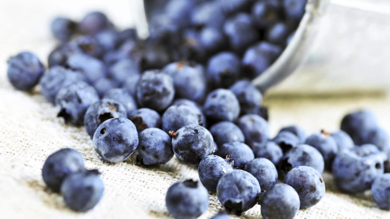 Turmeric, berries, fatty fish and more, 5 best anti-inflammatory foods and their health benefits