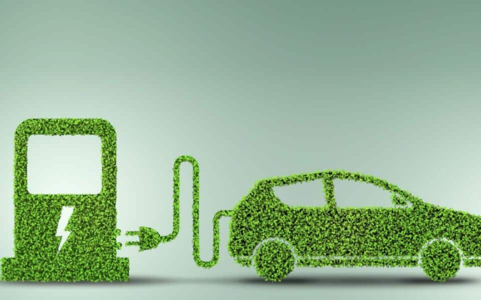 Allow natural growth of India s e vehicle sector to avoid becoming EV colony for China GTRI